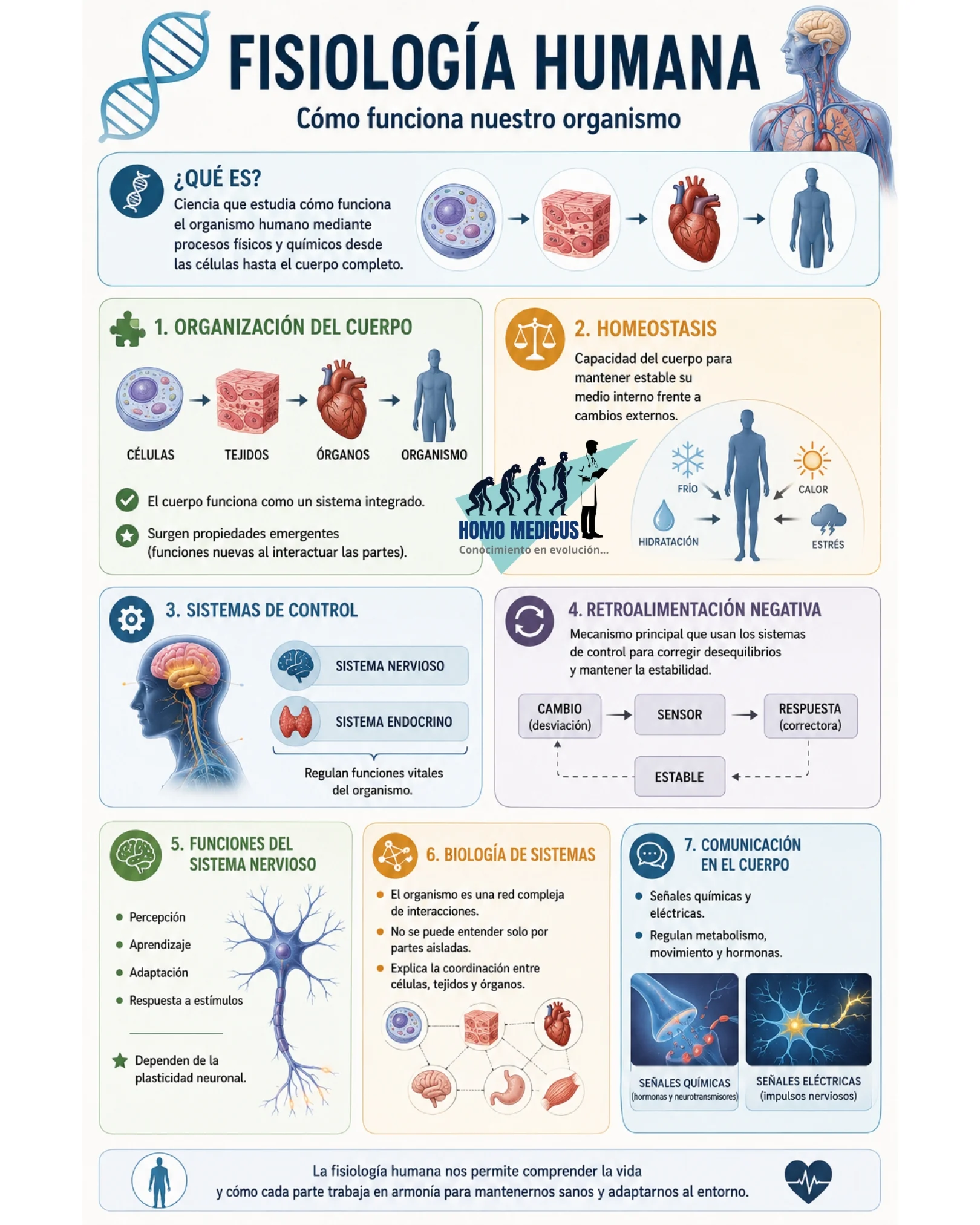 FISIOLOGÍA HUMANA FISIOLOGÍA HUMANA
