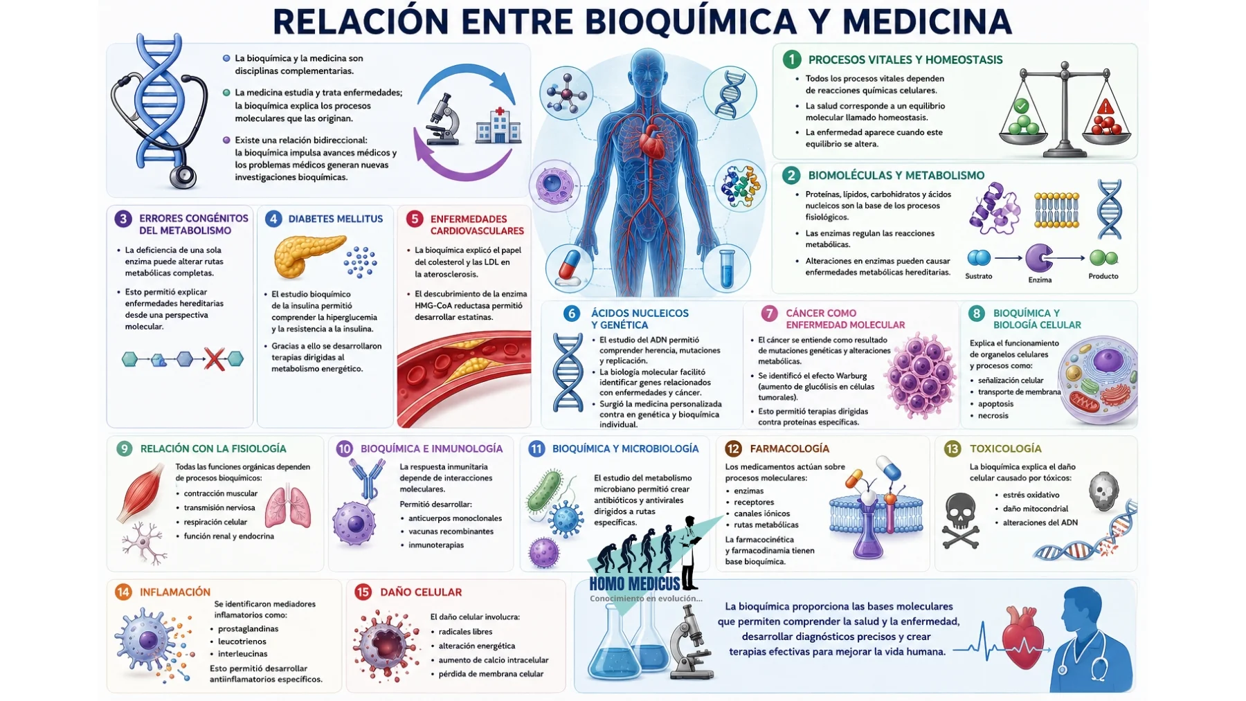RELACIÓN ENTRE BIOQUÍMICA Y MEDICINA RELACIÓN ENTRE BIOQUÍMICA Y MEDICINA
