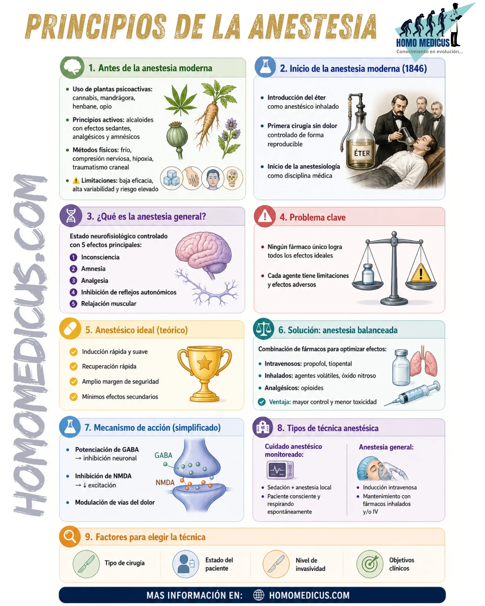 Principios de la anestesia Principios de la anestesia