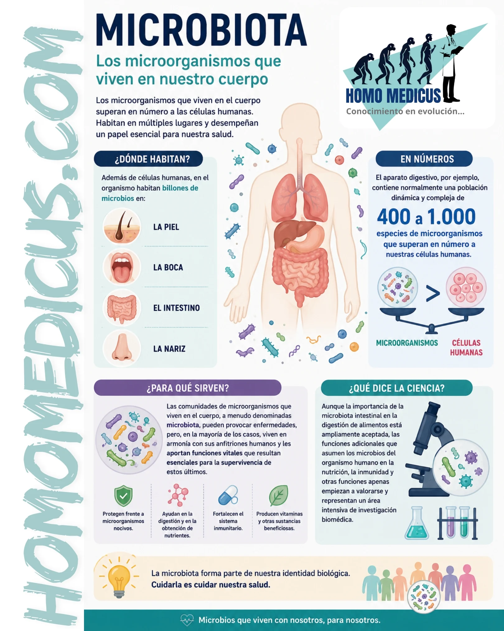 MICROBIOTA