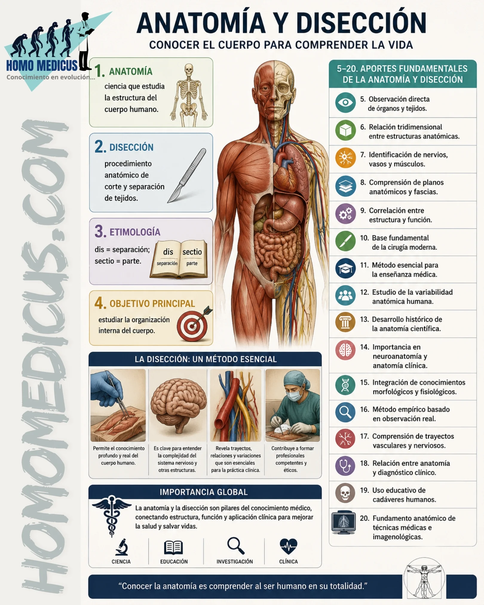 ANATOMÍA Y DISECCIÓN ANATOMÍA Y DISECCIÓN