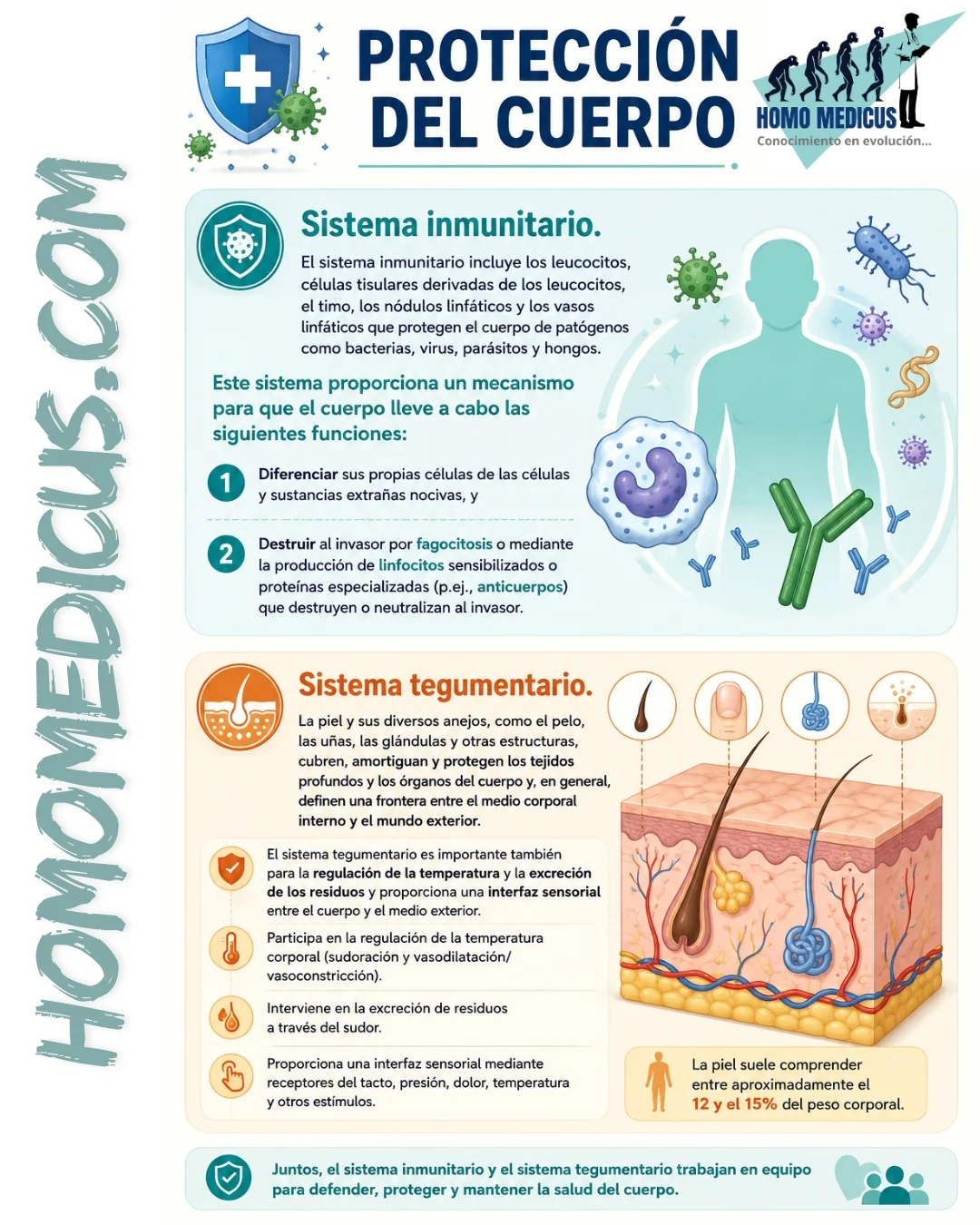 PROTECCIÓN DEL CUERPO PROTECCIÓN DEL CUERPO