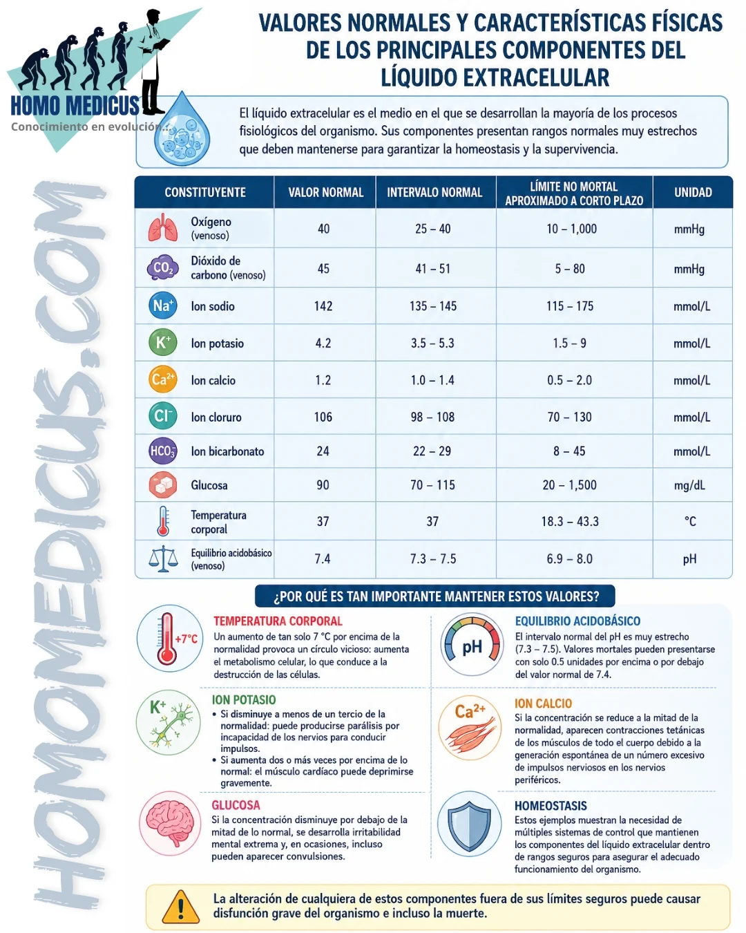 Valores normales y características físicas de los principales componentes del líquido extracelular Valores normales y características físicas de los principales componentes del líquido extracelular
