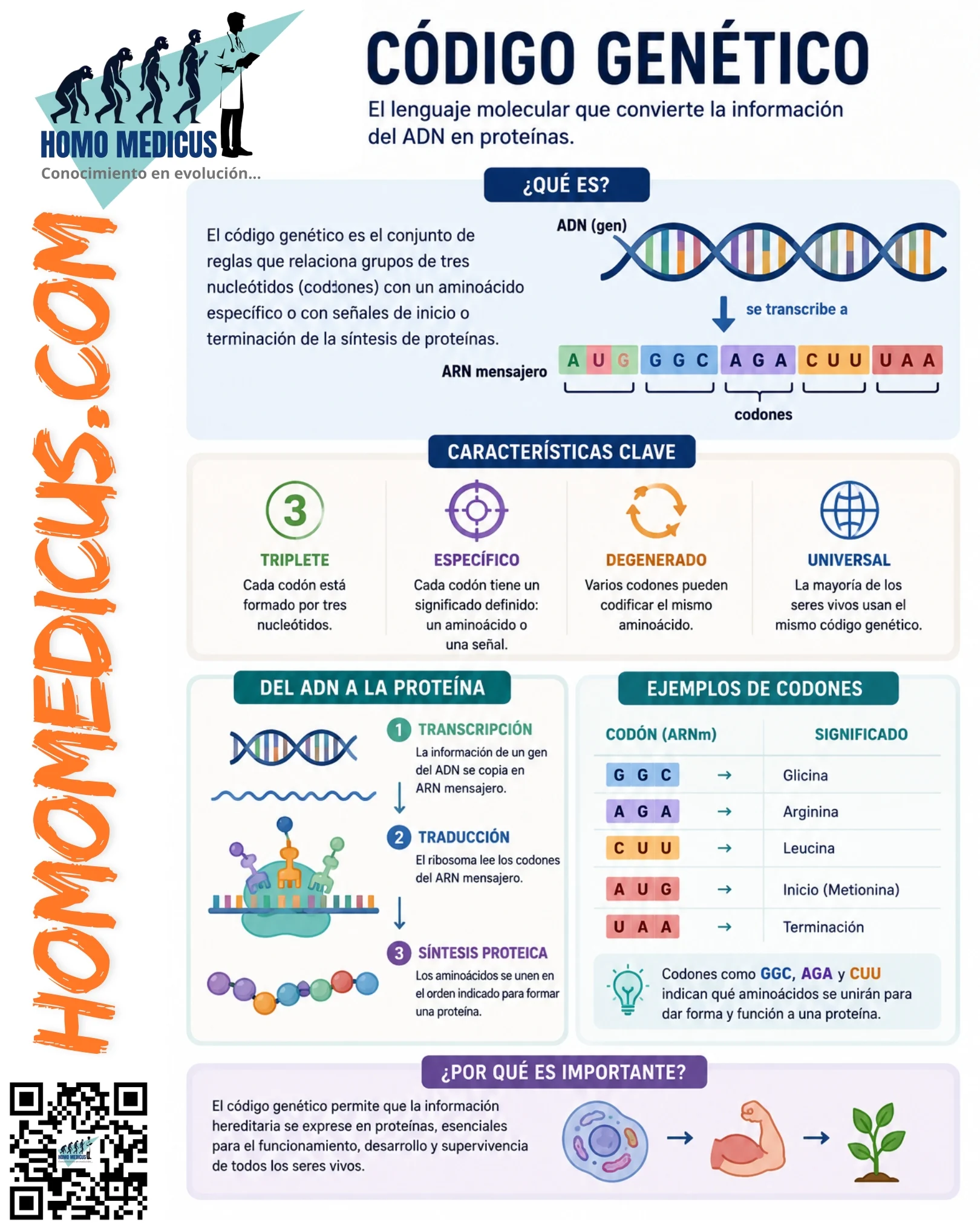 Código genético Código genético