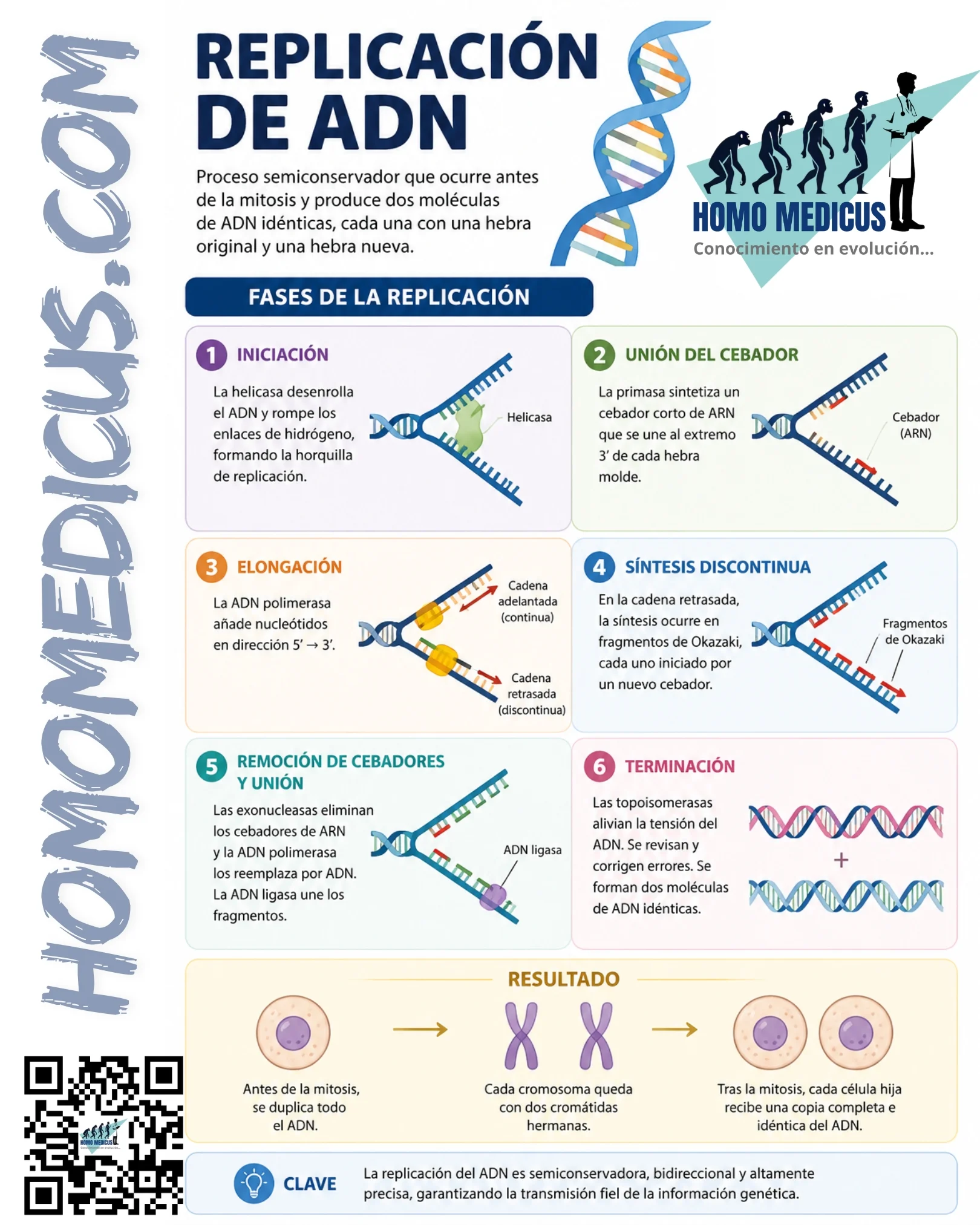 REPLICACIÓN DE ADN