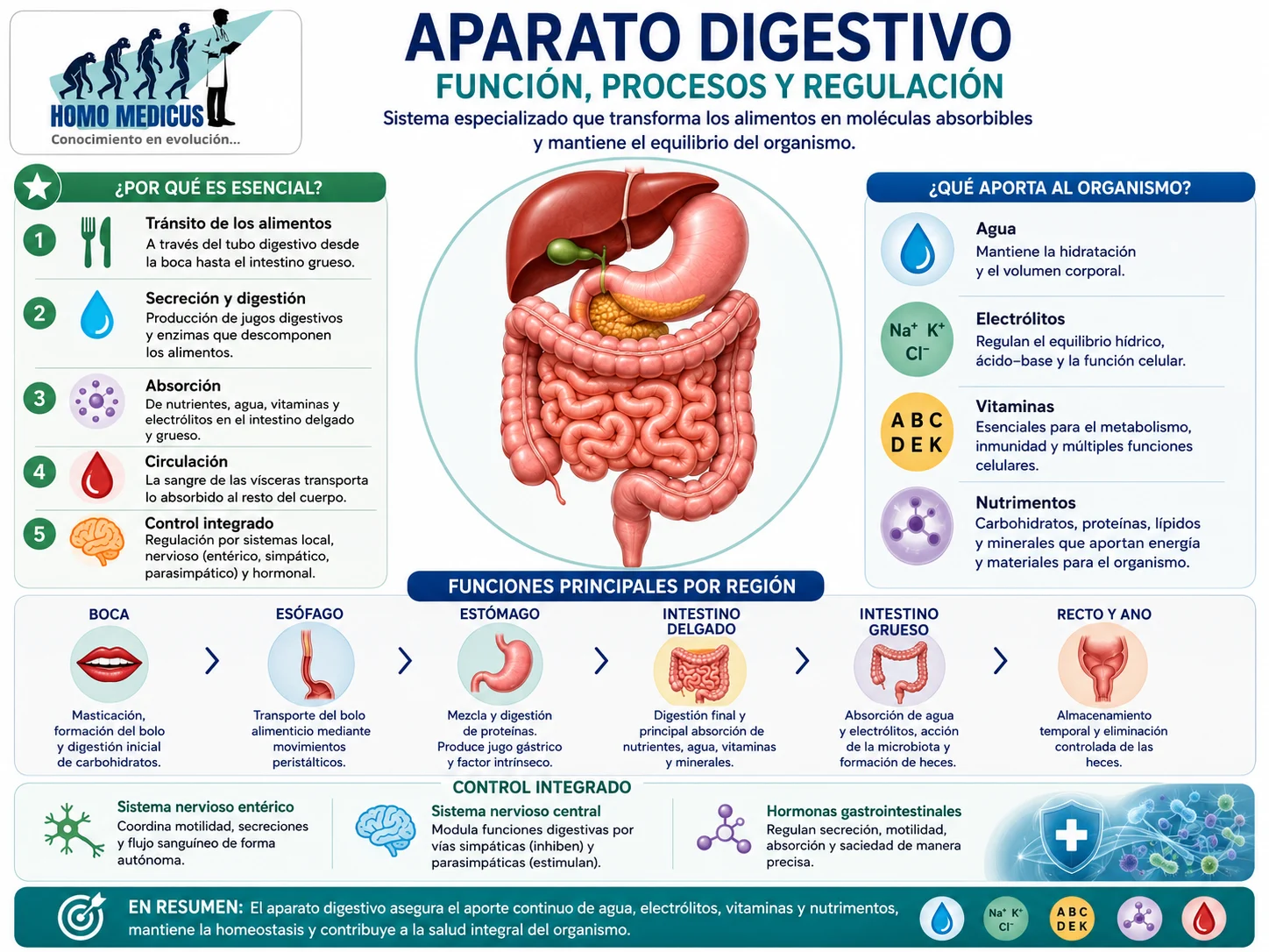 APARATO DIGESTIVO