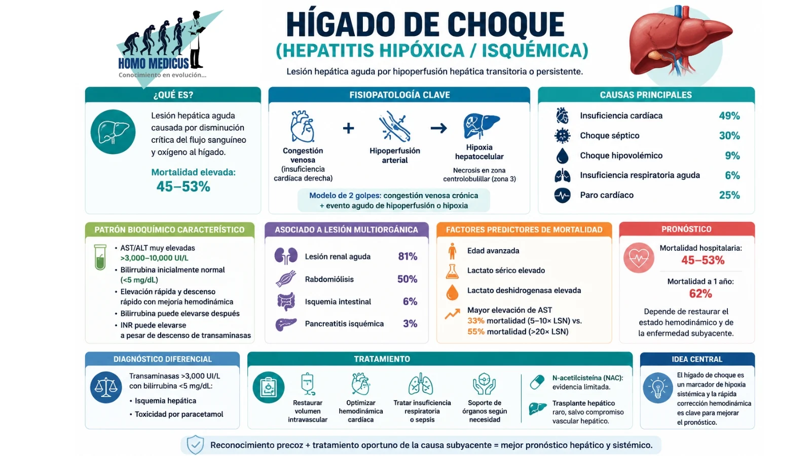 HÍGADO DE CHOQUE