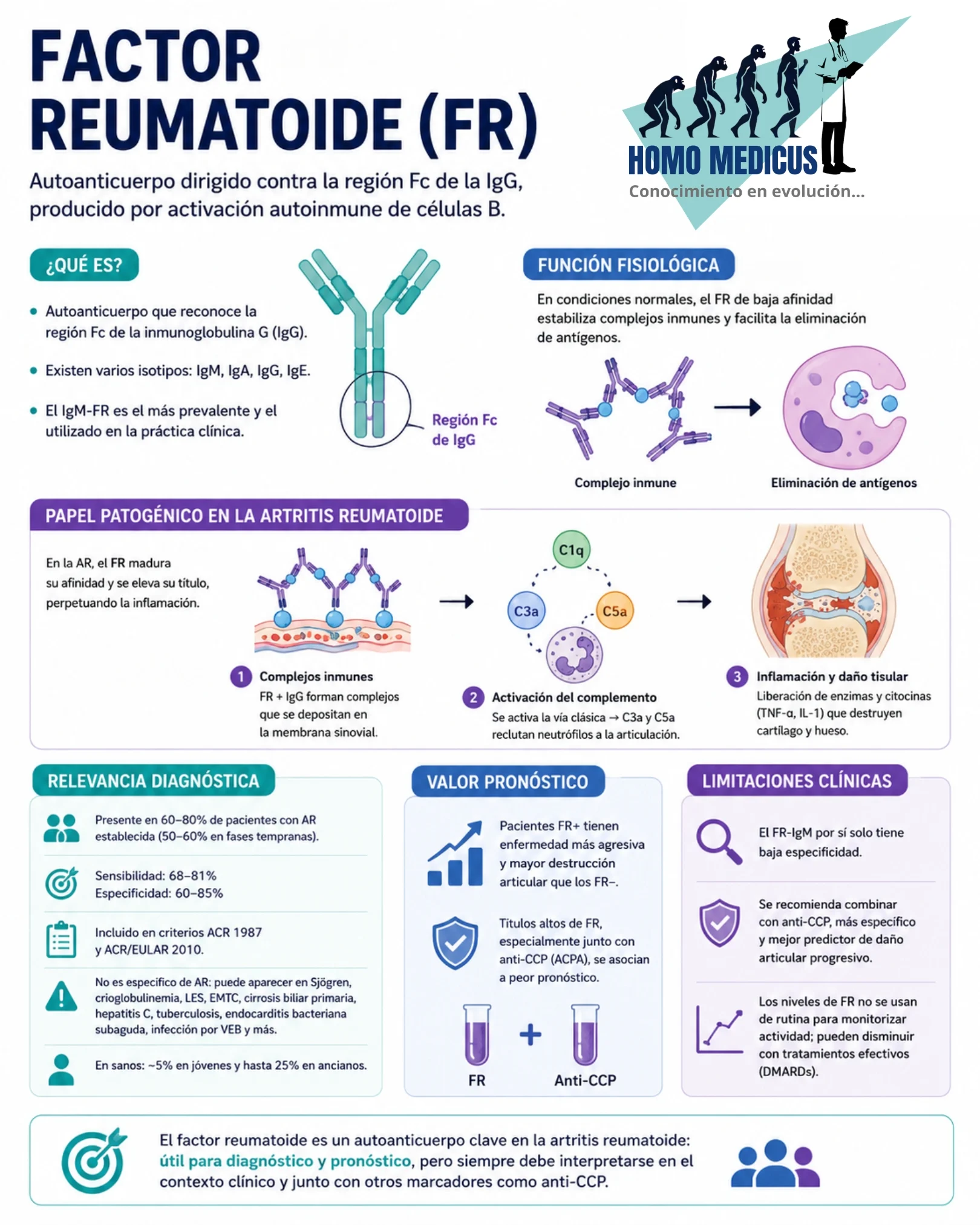 FACTOR REUMATOIDE